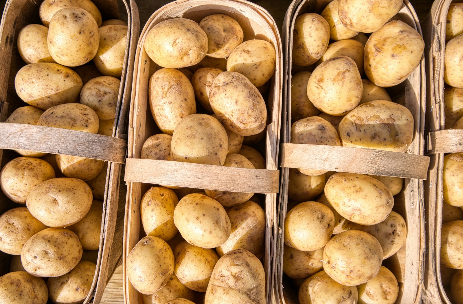 Frische Kartoffeln in geflochtenen Körben – Fotoplatzhalter für die eigene Ernte